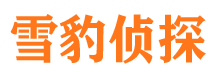 翼城市调查取证